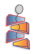 ISST Schroth method